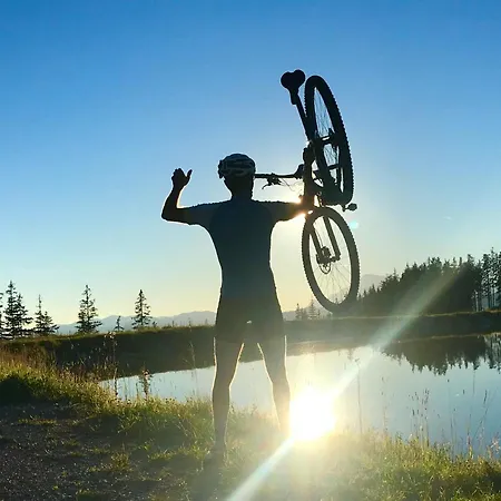 Séjour chez l'habitant Appartementhaus Mountain *