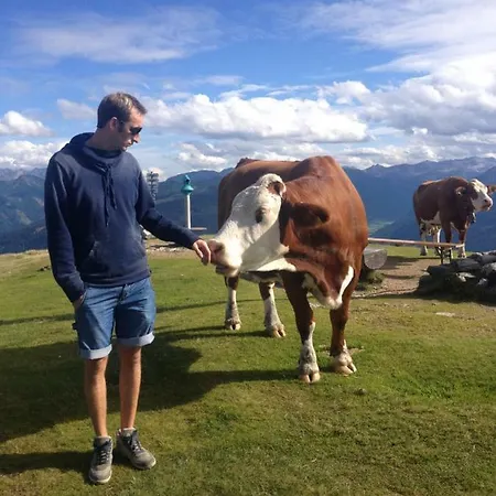 Appartementhaus Mountain