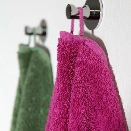 Appartementhaus Mountain ホームステイ アルテンマルクト・イム・ポンガウ