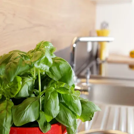 Appartementhaus Mountain ホームステイ *