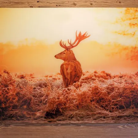 Appartementhaus Mountain * Altenmarkt im Pongau